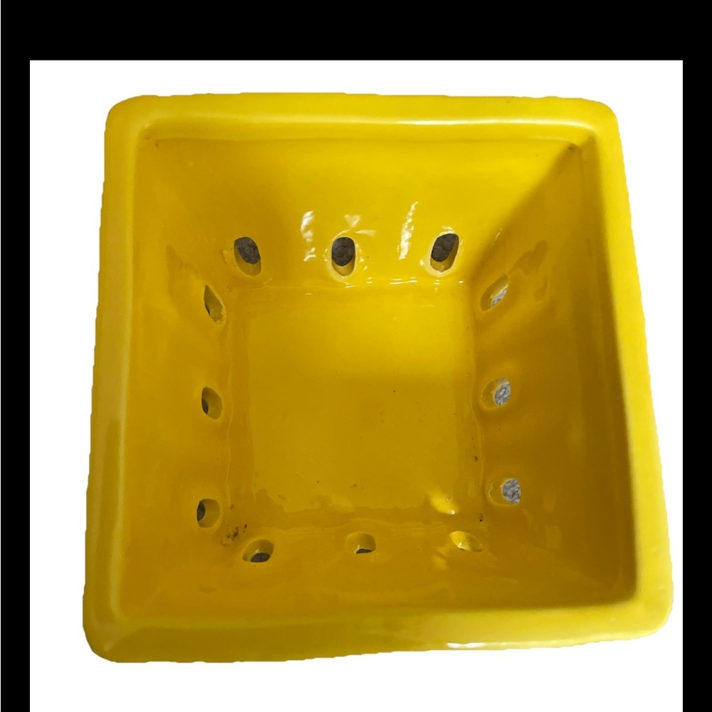 Creative Co-Op Porcelain Stoneware Berry Dish Orchid Planter 4x4 Yellow New NWT - Picture 3 of 8